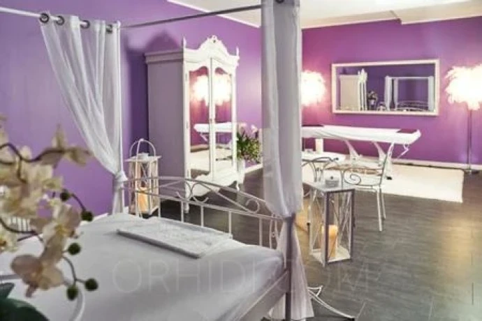 Studio Dornenschloss-das Allround- Service-Studio
