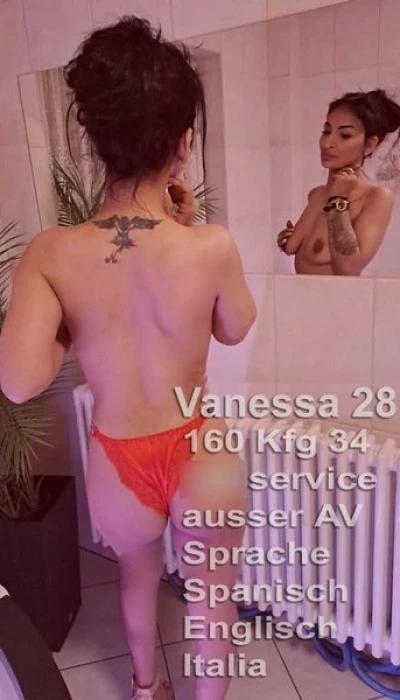 Nachtfalter Vanessa 28 J.