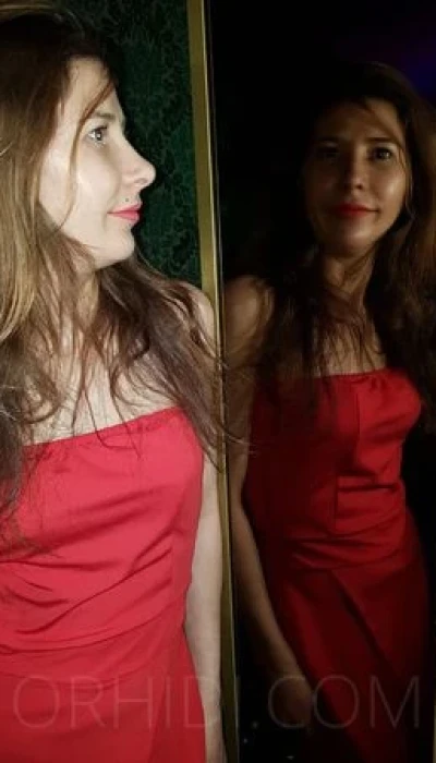 Alice - Bar Amalia