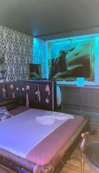 Eroscenter Crazy Jungle
