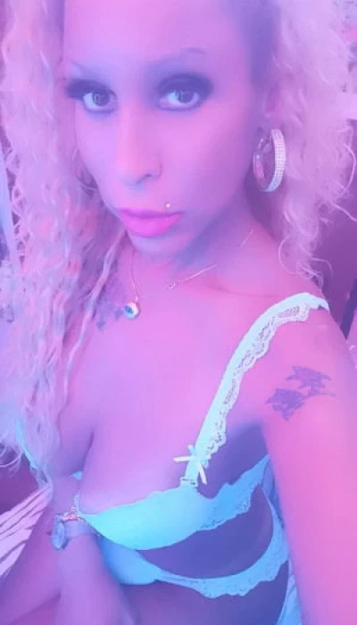 Top Trans Danhamorena