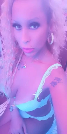 Top Trans Danhamorena