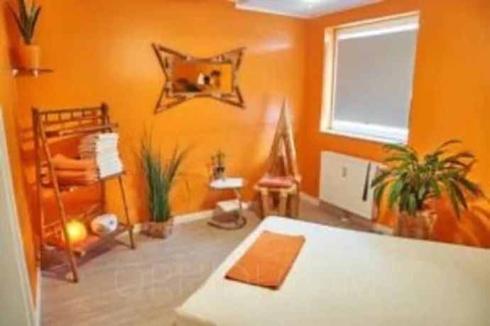 Studio Dornenschloss-das Allround- Service-Studio