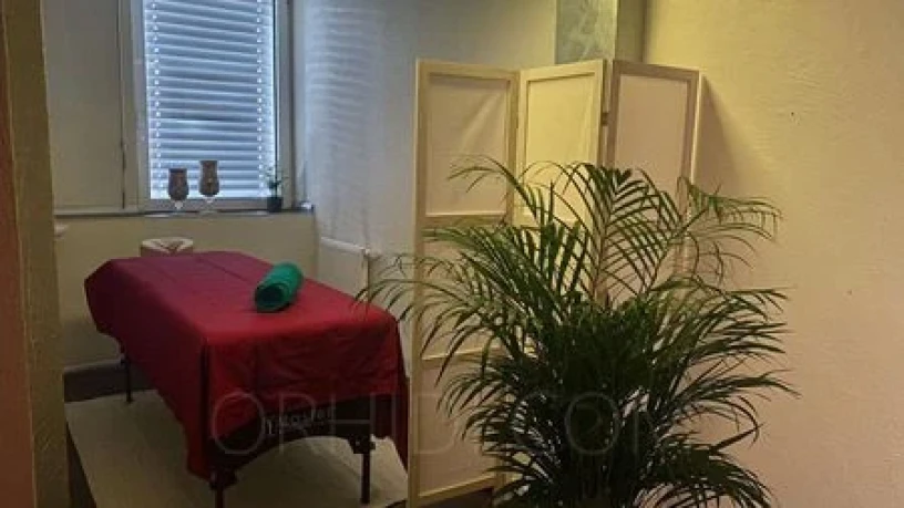 Relax Wellness Lounge