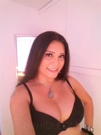 Top Trans Zara XXL