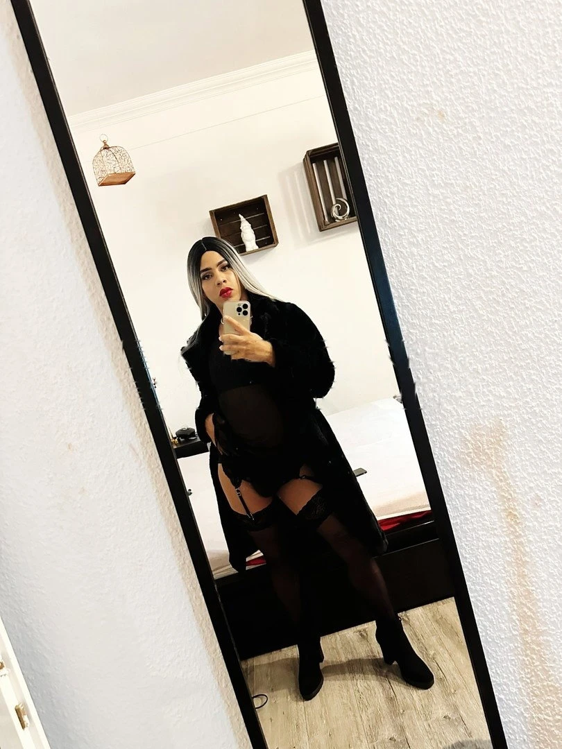 Trans Dani