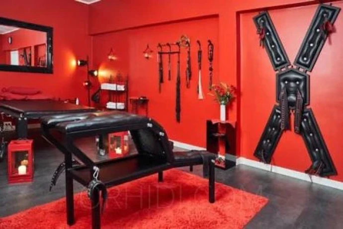 Studio Dornenschloss-das Allround- Service-Studio