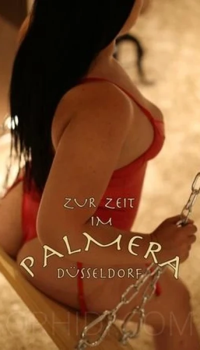 Aischa - The Exclusive Erotic Club Palmera