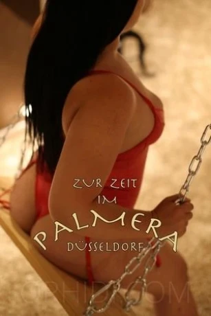 Aischa - The Exclusive Erotic Club Palmera