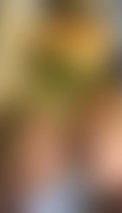 Koko Nur Fur Kurze Zeit Verfugbar