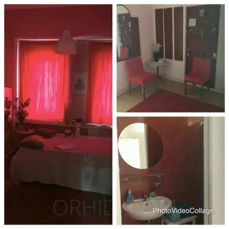 Haus 3