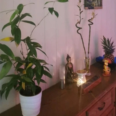 Thai Energie Massage Maressa