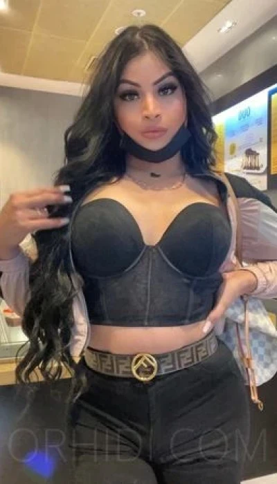 TS Erianna Party XL