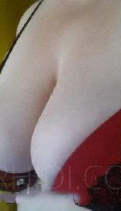 Bigbumblebee (45)