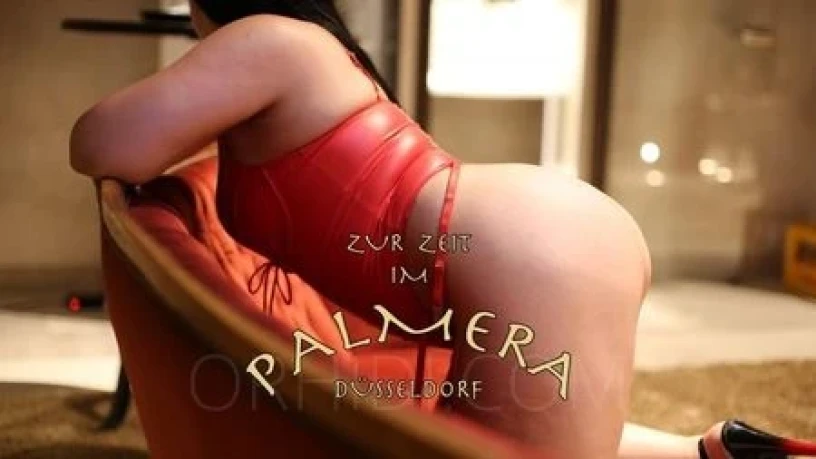 Aischa - The Exclusive Erotic Club Palmera