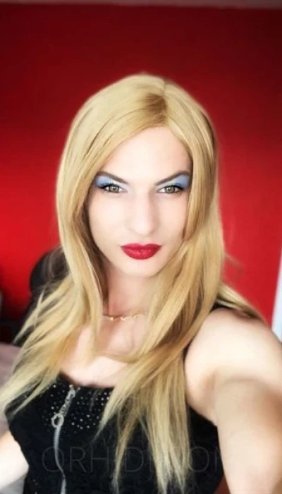 TV SAMIRA
