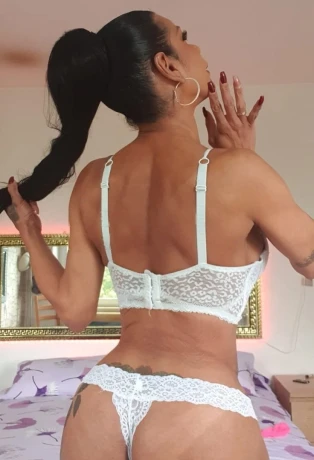 Trans Cintia