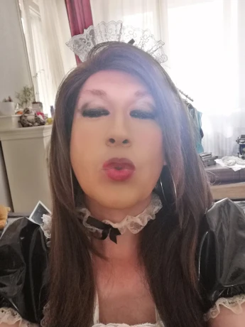 Trans Cat Deluxe