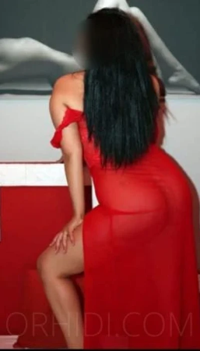 Neu! Elisa