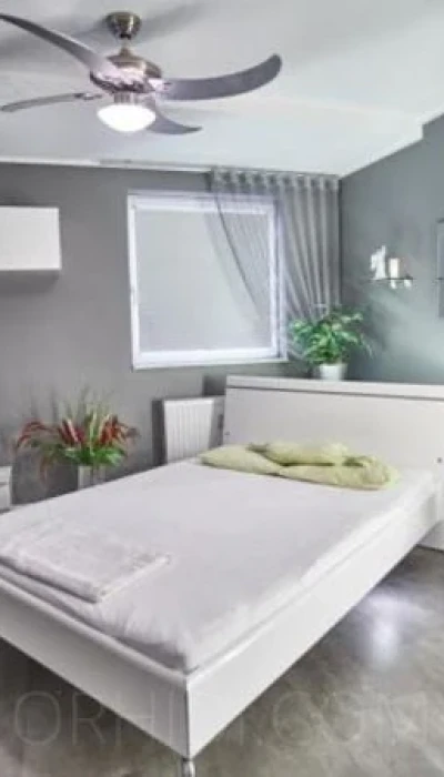 Studio Dornenschloss-das Allround- Service-Studio