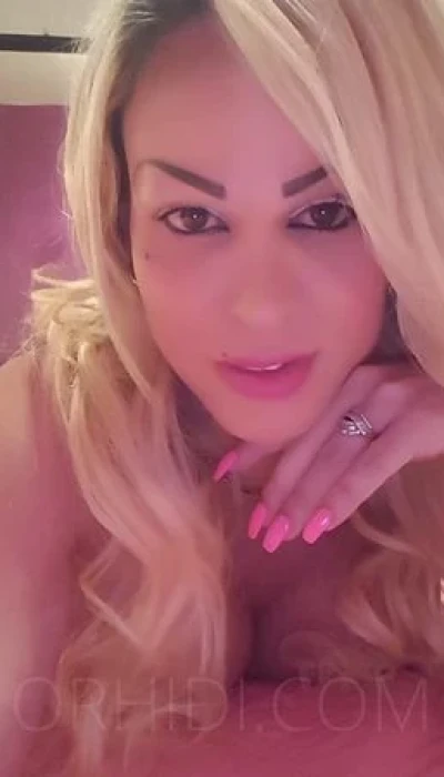 Trans Lorens Star