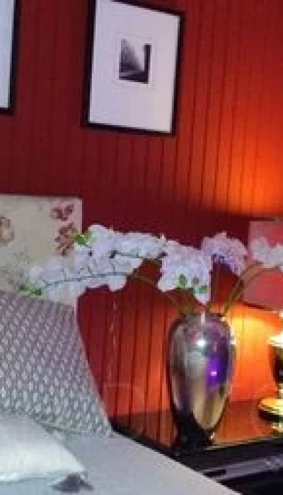 Haus Exotica