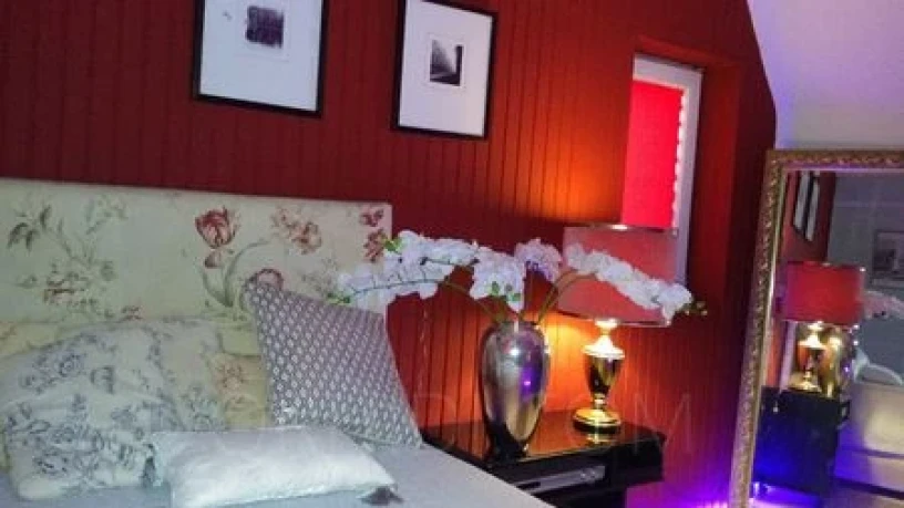 Haus Exotica