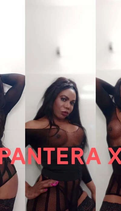 Transsexuelle Pantera
