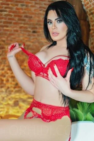 Heiße Brasilianische TS SOFIA!