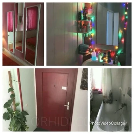 Haus 3