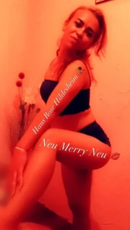 Merry Haus Rose