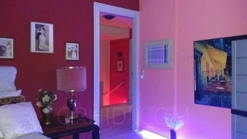 Haus Exotica