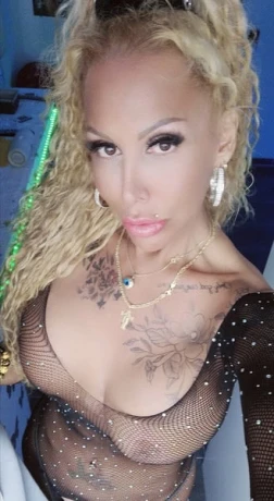 Top Trans Danhamorena