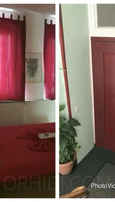 Haus 3