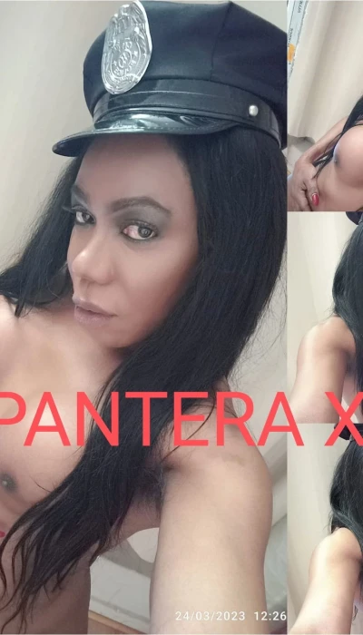 Transsexuelle Pantera