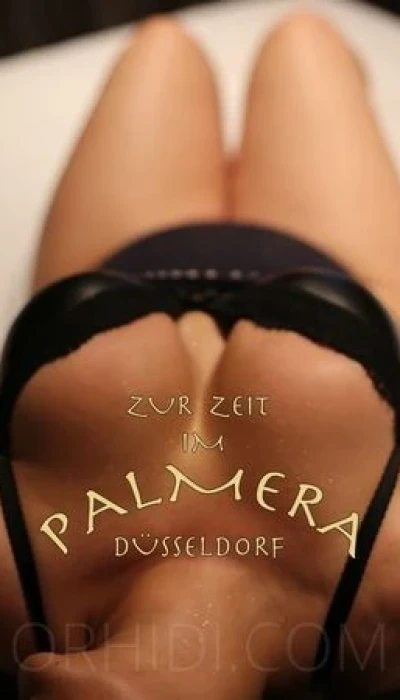 Anja - The Exclusive Erotic Club Palmera