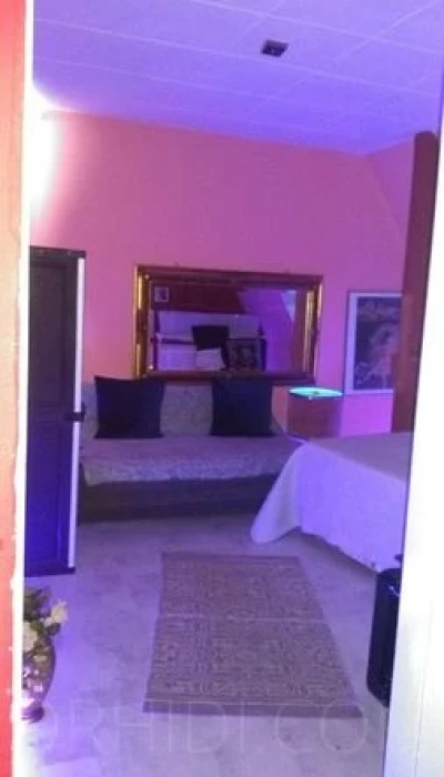 Haus Exotica