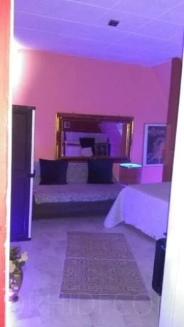 Haus Exotica