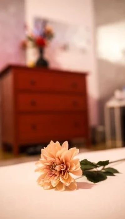 Glamour-Massage-Frankfurt