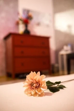 Glamour-Massage-Frankfurt