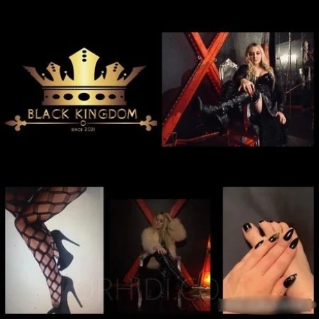 The Black Kingdom - Herrin Saskia