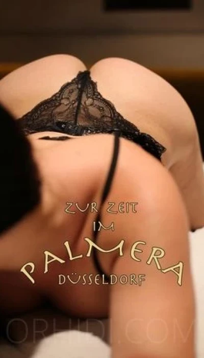 Aischa - The Exclusive Erotic Club Palmera