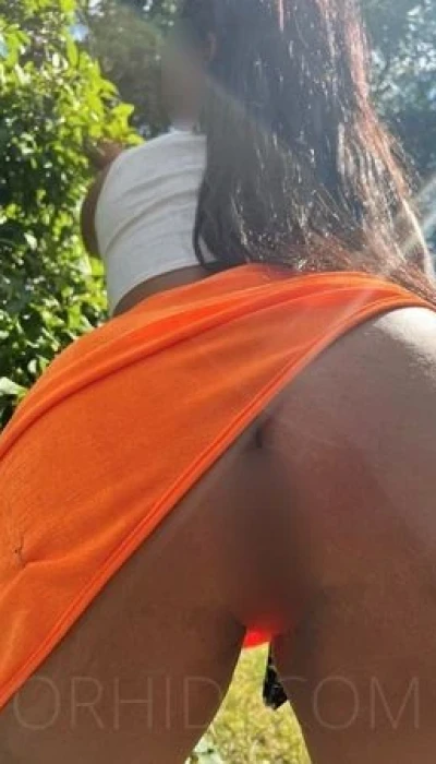 Orientalisches Sexl*der Neuling 22