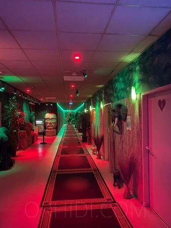 Eroscenter Crazy Jungle