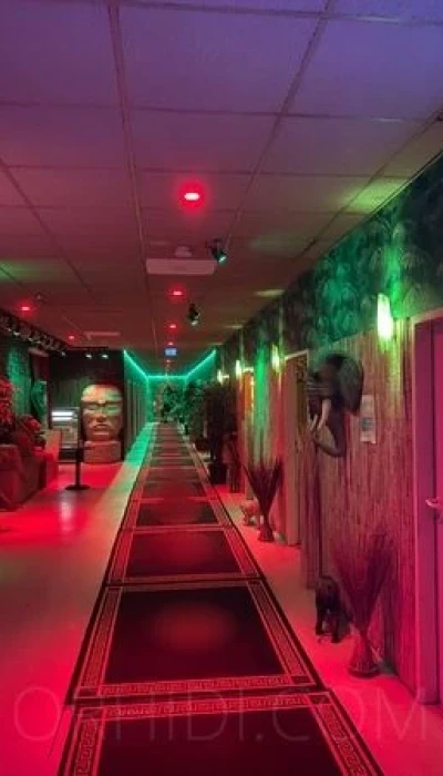 Eroscenter Crazy Jungle