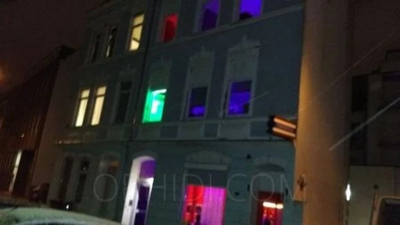 Haus Exotica