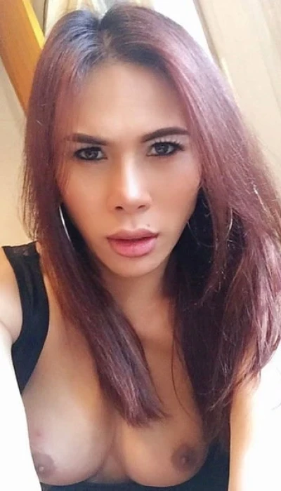 Trans Alisa
