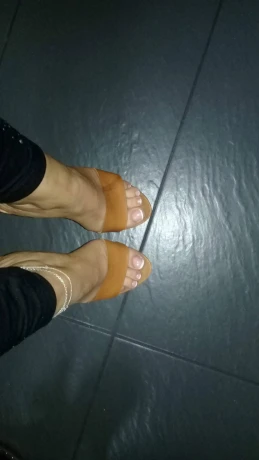 Sina19