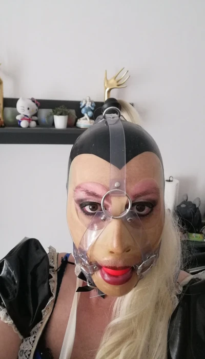 Trans Cat Deluxe