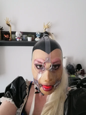 Trans Cat Deluxe